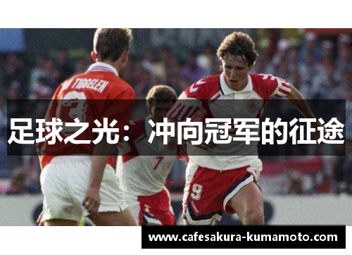 足球之光：冲向冠军的征途