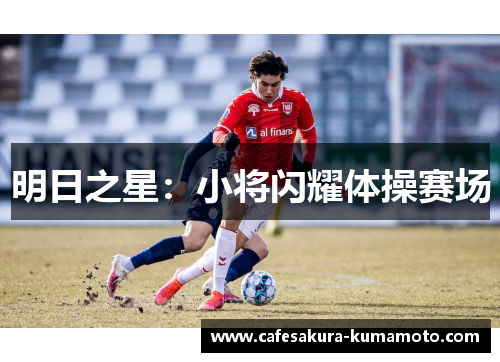 明日之星：小将闪耀体操赛场